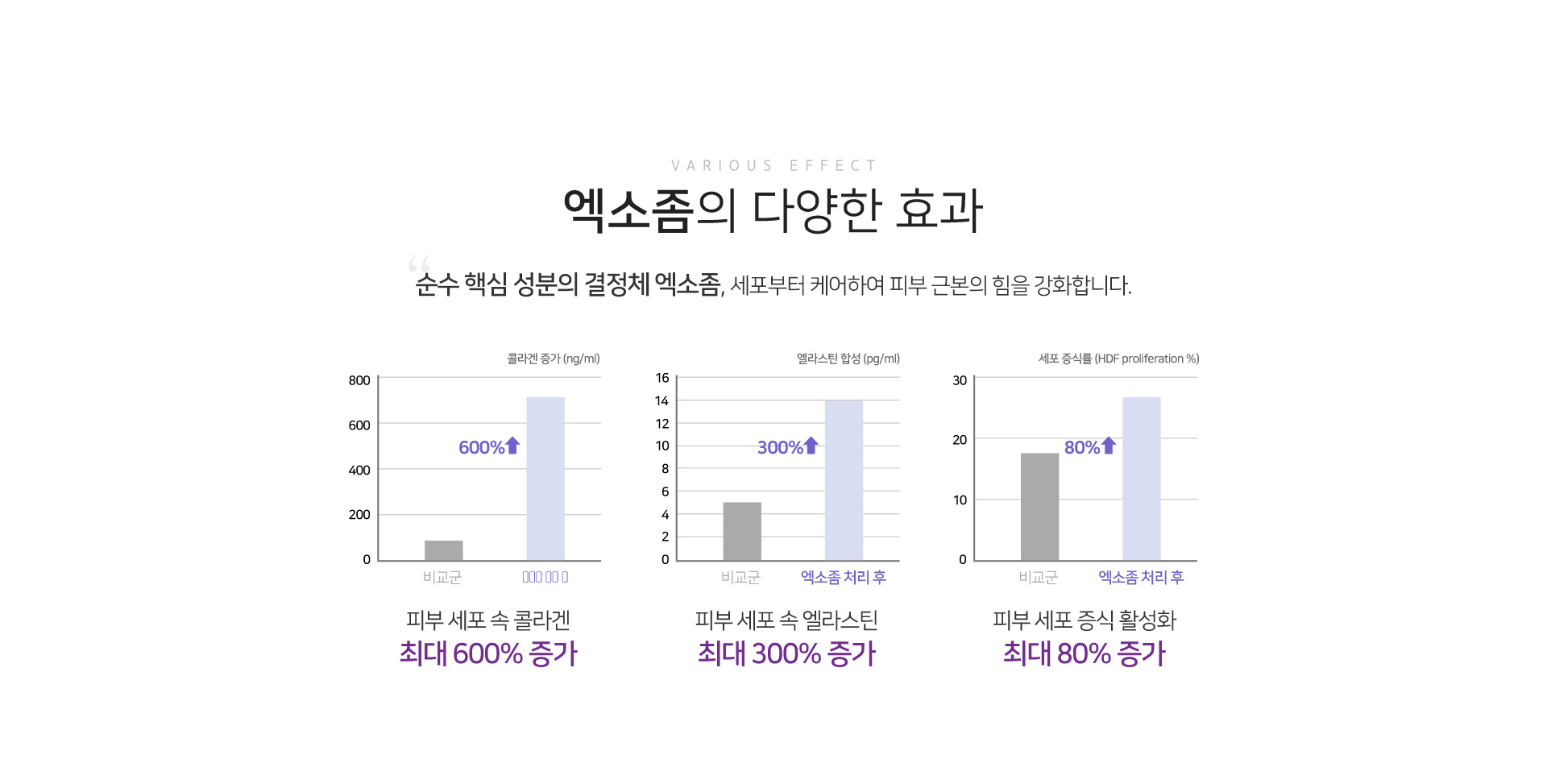 다양한효과