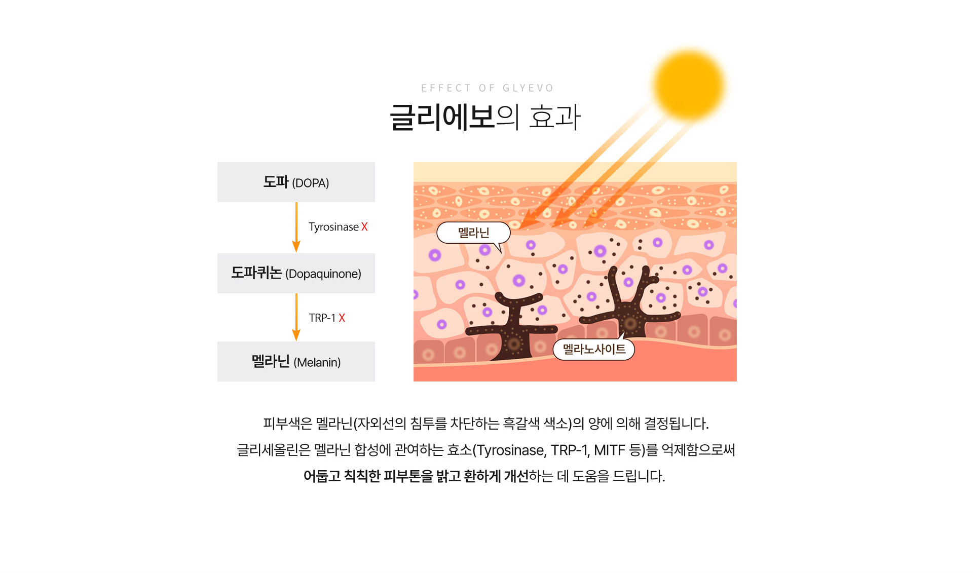 효과