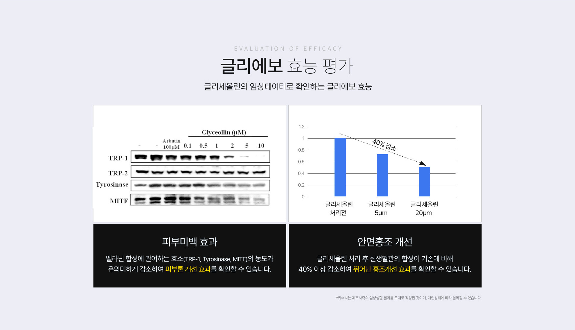 효능평가